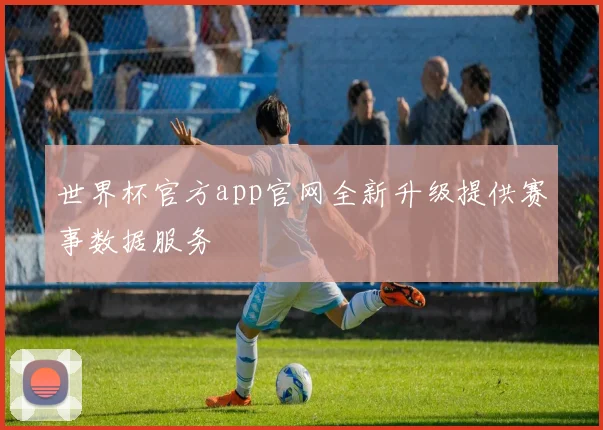 世界杯官方app官网全新升级提供赛事数据服务