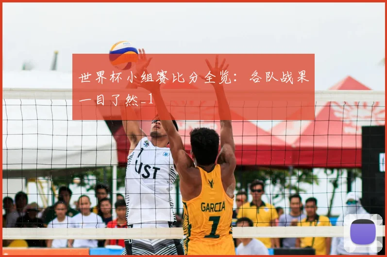 世界杯小组赛比分全览:各队战果一目了然_1
